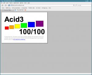 Arora 0.5 Acid3 Test - 100/100